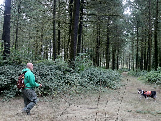 Dog Training Near Hull Dog Training Near Hull