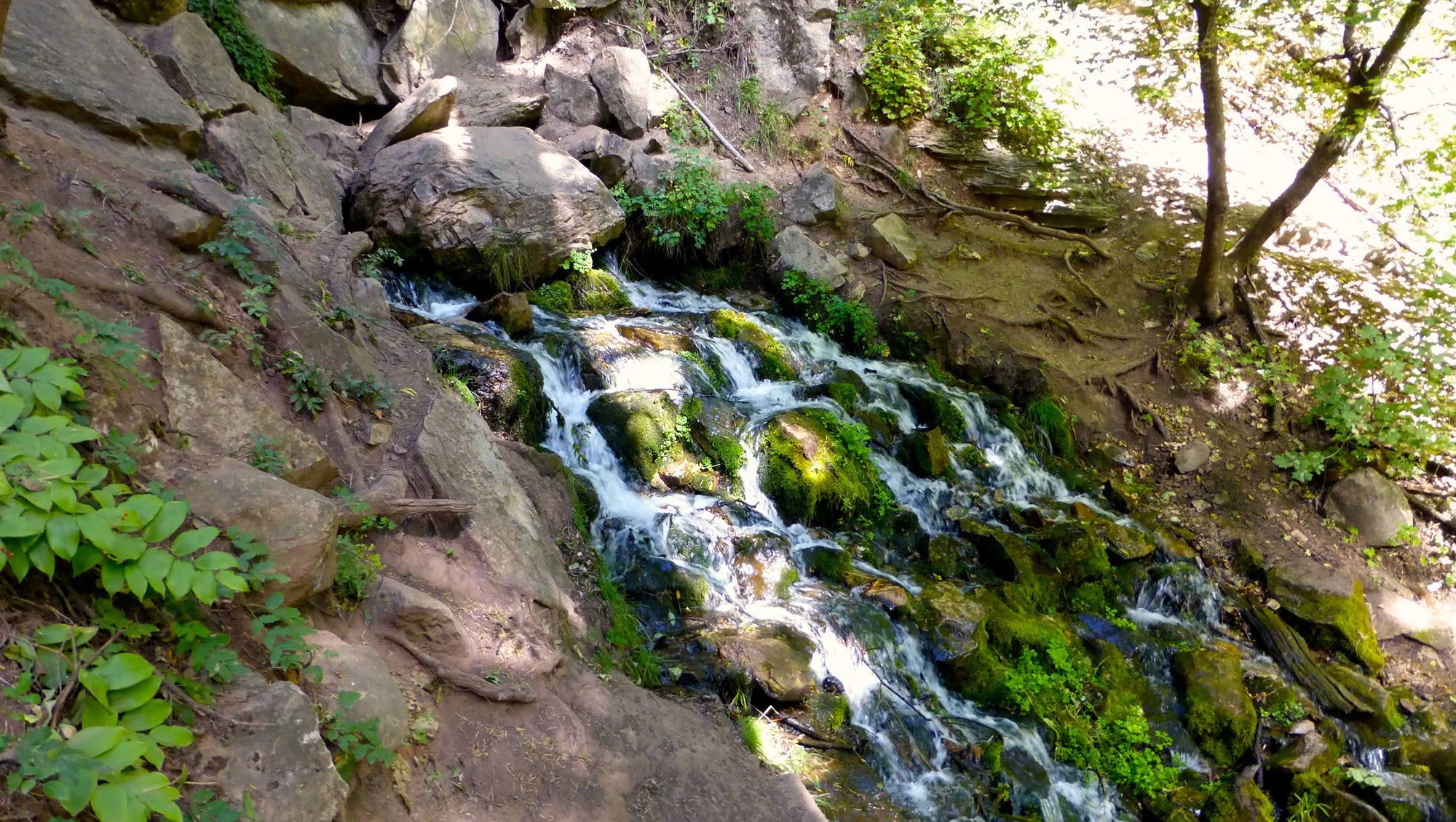 Mogollon Rim Scenic Drive Forest Road 300
