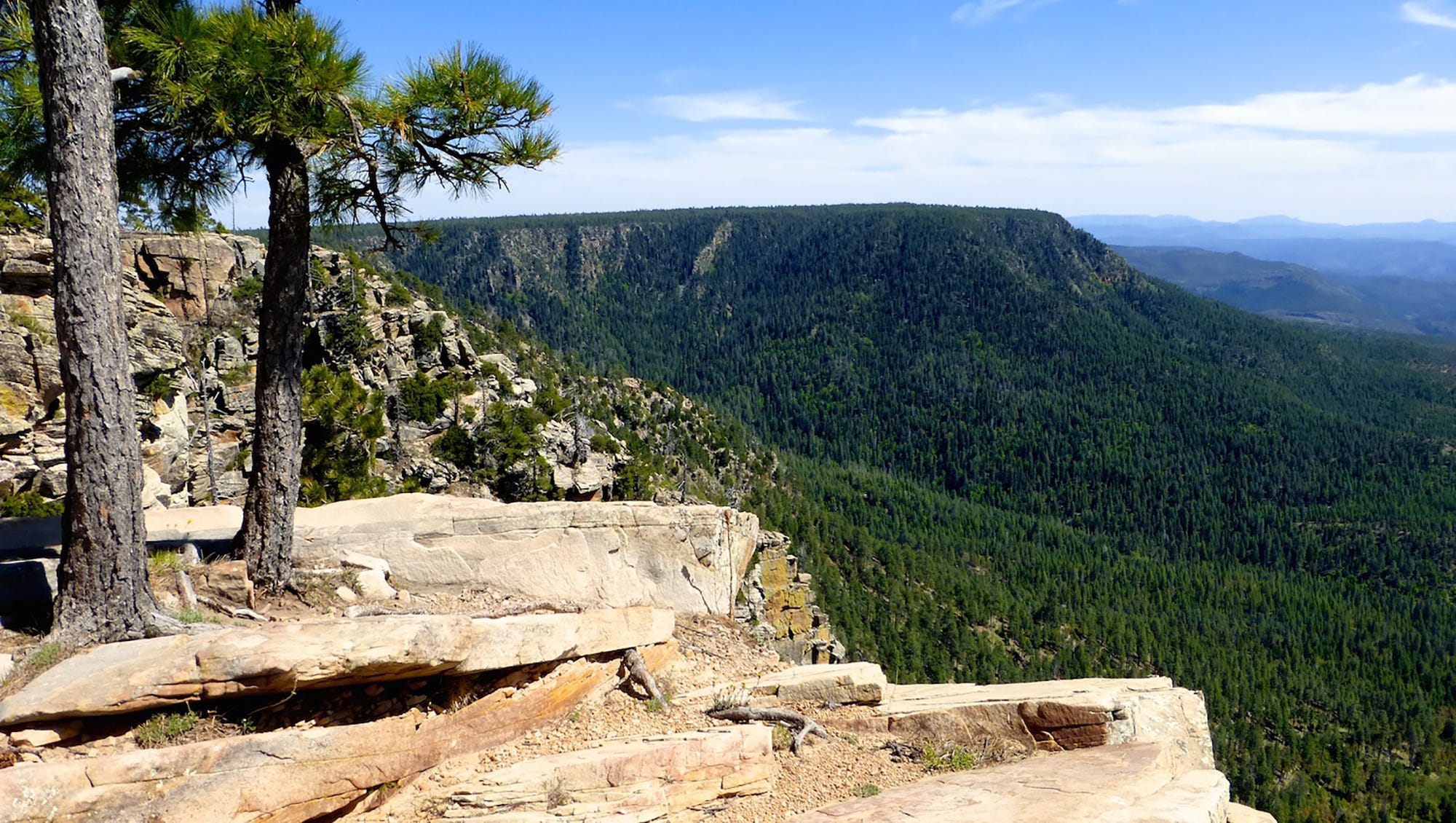 Mogollon Rim Scenic Drive Forest Road 300