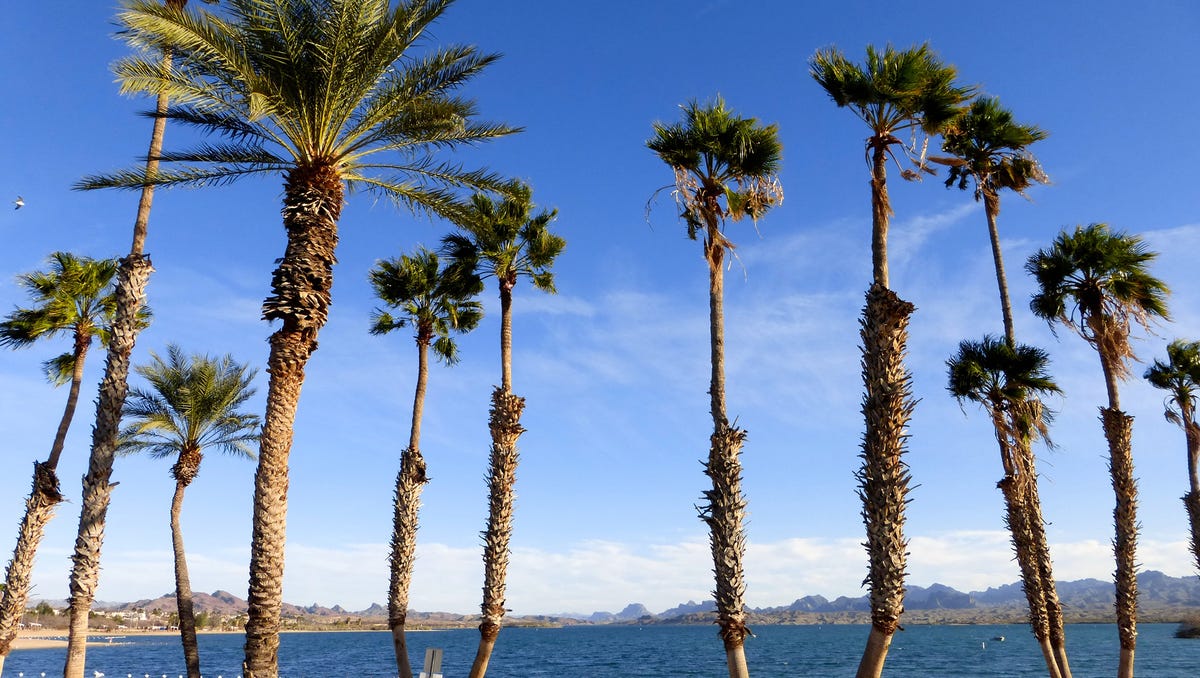 Arizona S Best Beaches 12 Places To Go Swimming