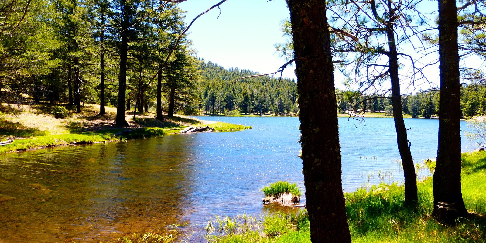 Southern Arizona Lakes For Swimming Fishing Boating