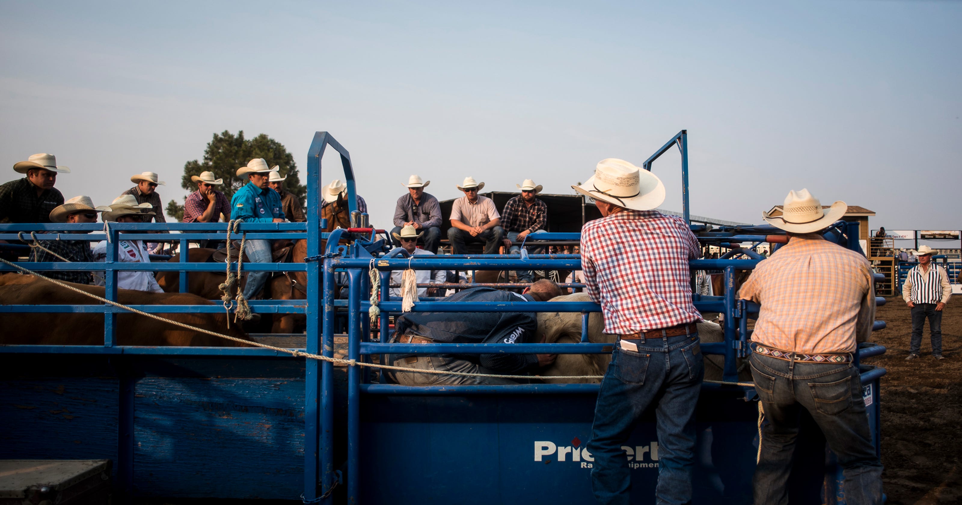 Gallery Big Sky Pro Rodeo at the Montana State Fair