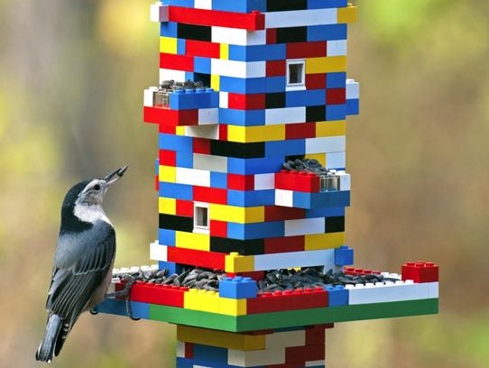 5 easy diy bird feeders 5 easy diy bird feeders