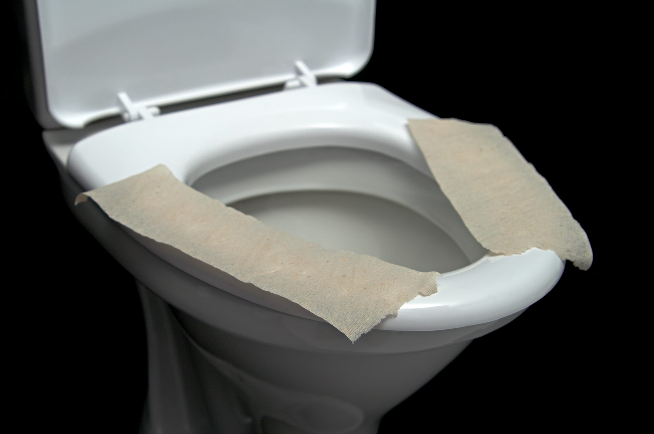 a toilet seat cover