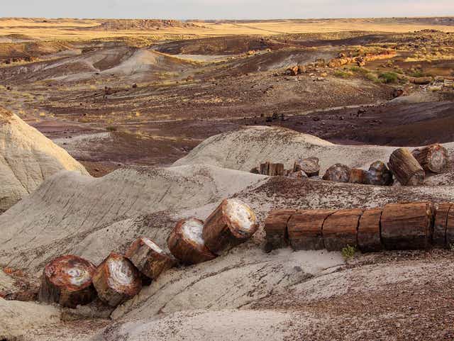 Petrified Forest National Park 10 Tips For Your Visit