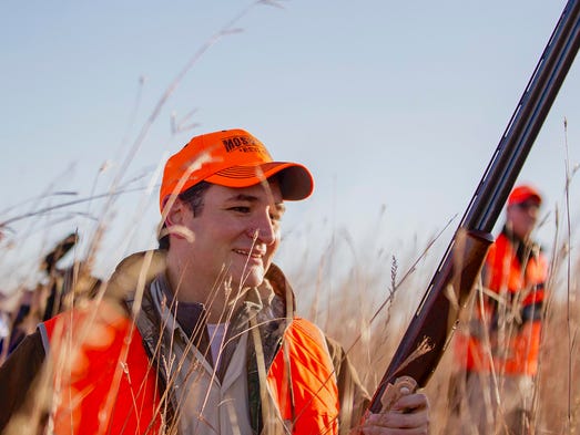 Cruz walks through tall grass during an Oct. 26, 2013,
