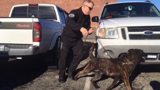 Cheatham County high schools were placed on a lockout Friday morning as the Cheatham County Sheriff’s Office implemented “Operation Safe Shield,” bringing in K-9 officers from several agencies conducted a drug search.