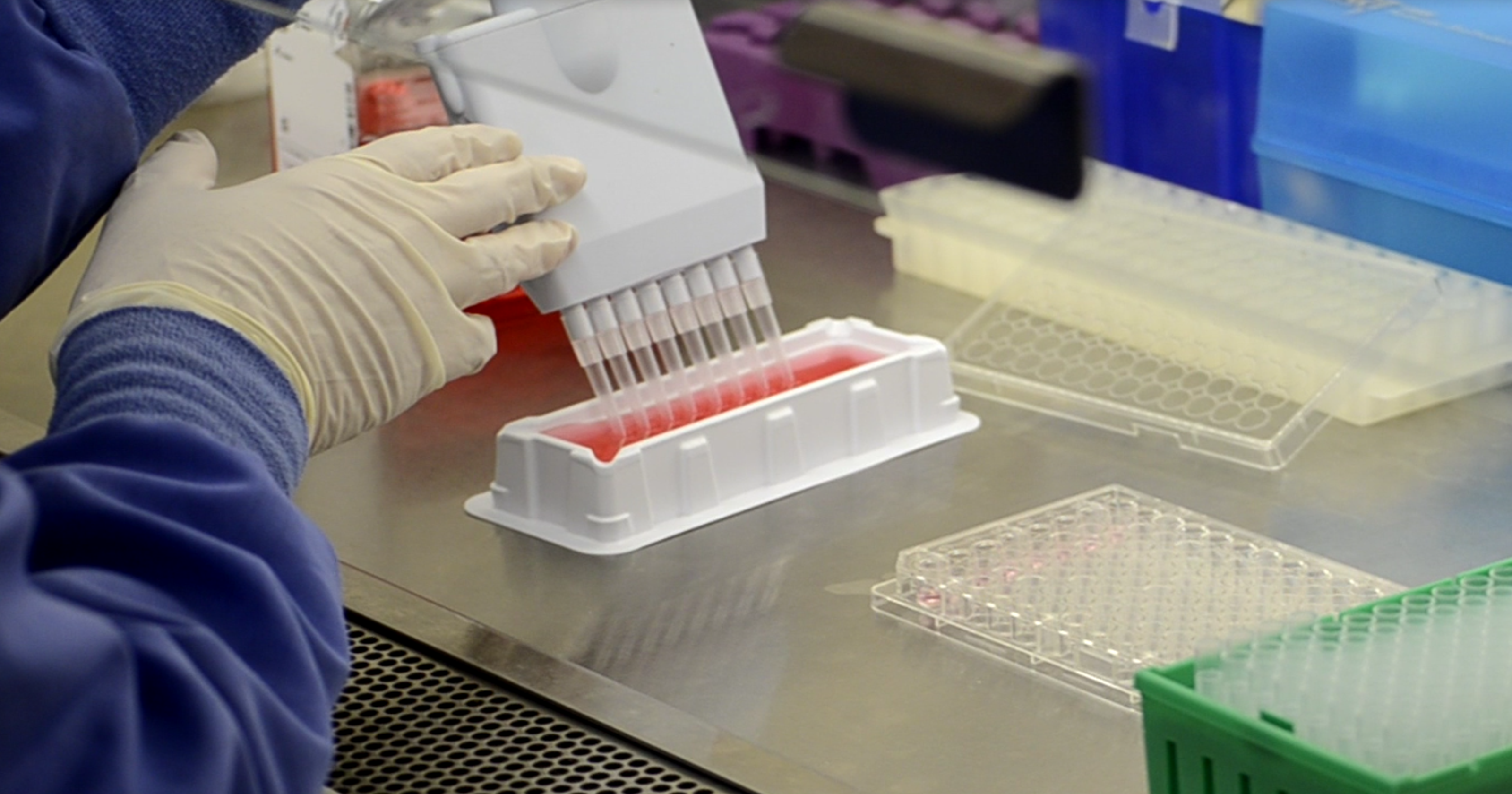 Mayo Clinic plans trials for breast cancer vaccine