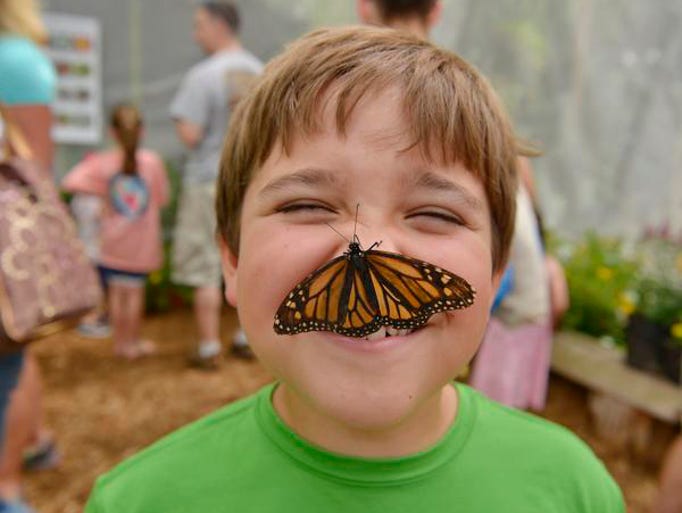 The second annual Butterfly Adventure is being hosted