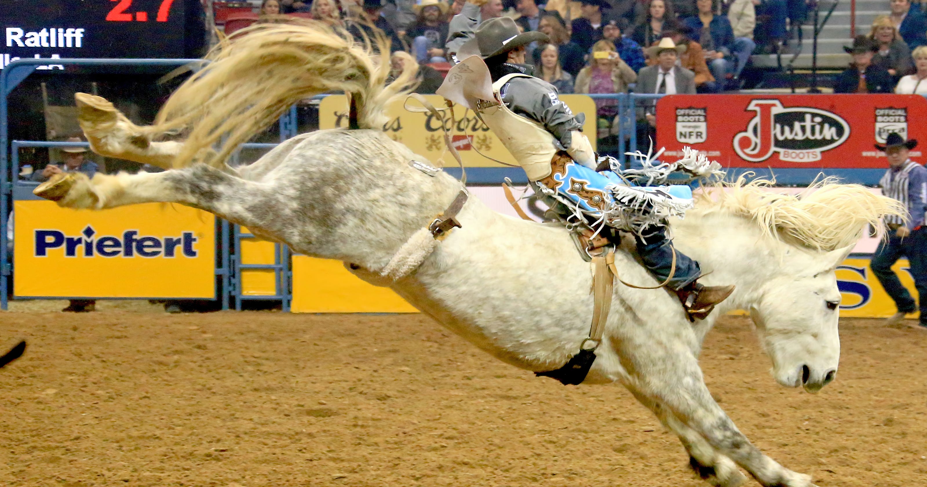 Montana bucking horse bound for National Finals Rodeo