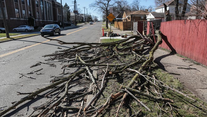 A tree lays across the sidewalk and into the street on Curtis near Stoepel in Detroit on March 8, 2017 after high winds moved through the area.