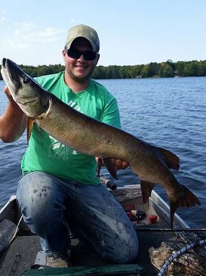 Matt Anchor with a 39-inch musky cause on a Price County lake.