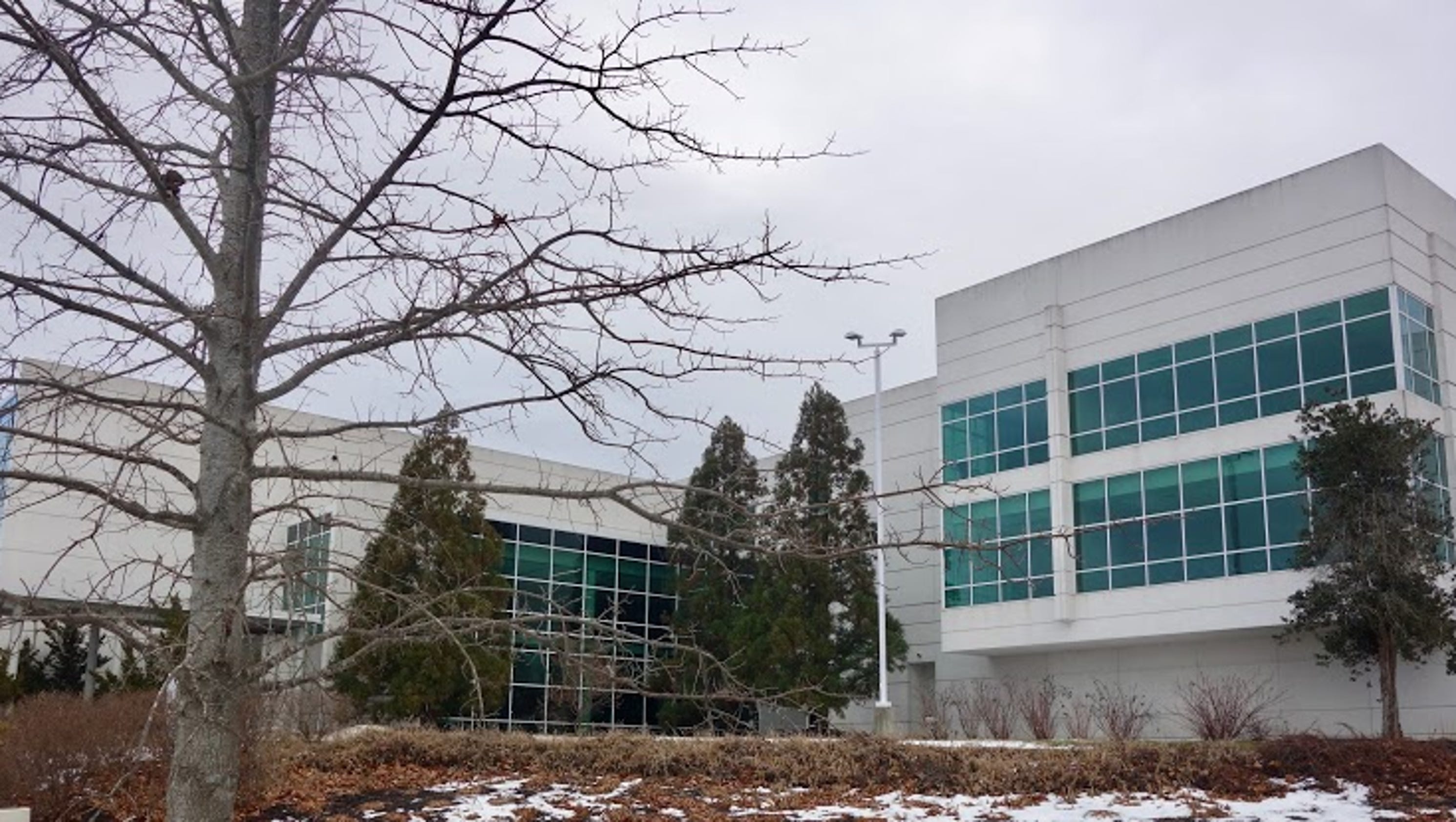 The Rawlings Group Exemployees recount good pay but toxic atmosphere