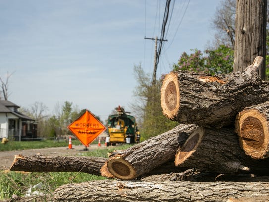 Branches are stacked after being cut from power line