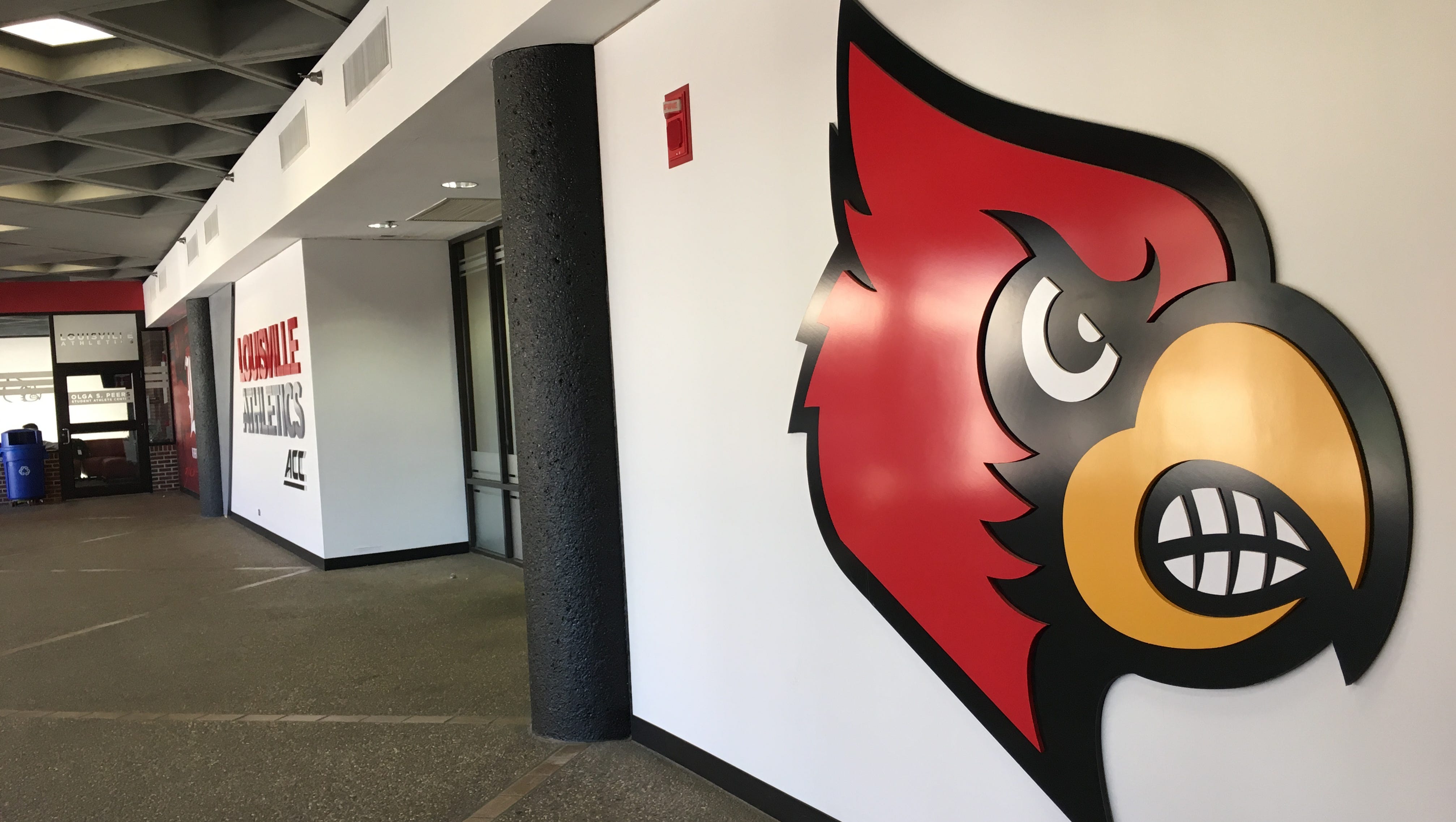 Louisville Cardinals Still Wait On Potential Ncaa Sanctions