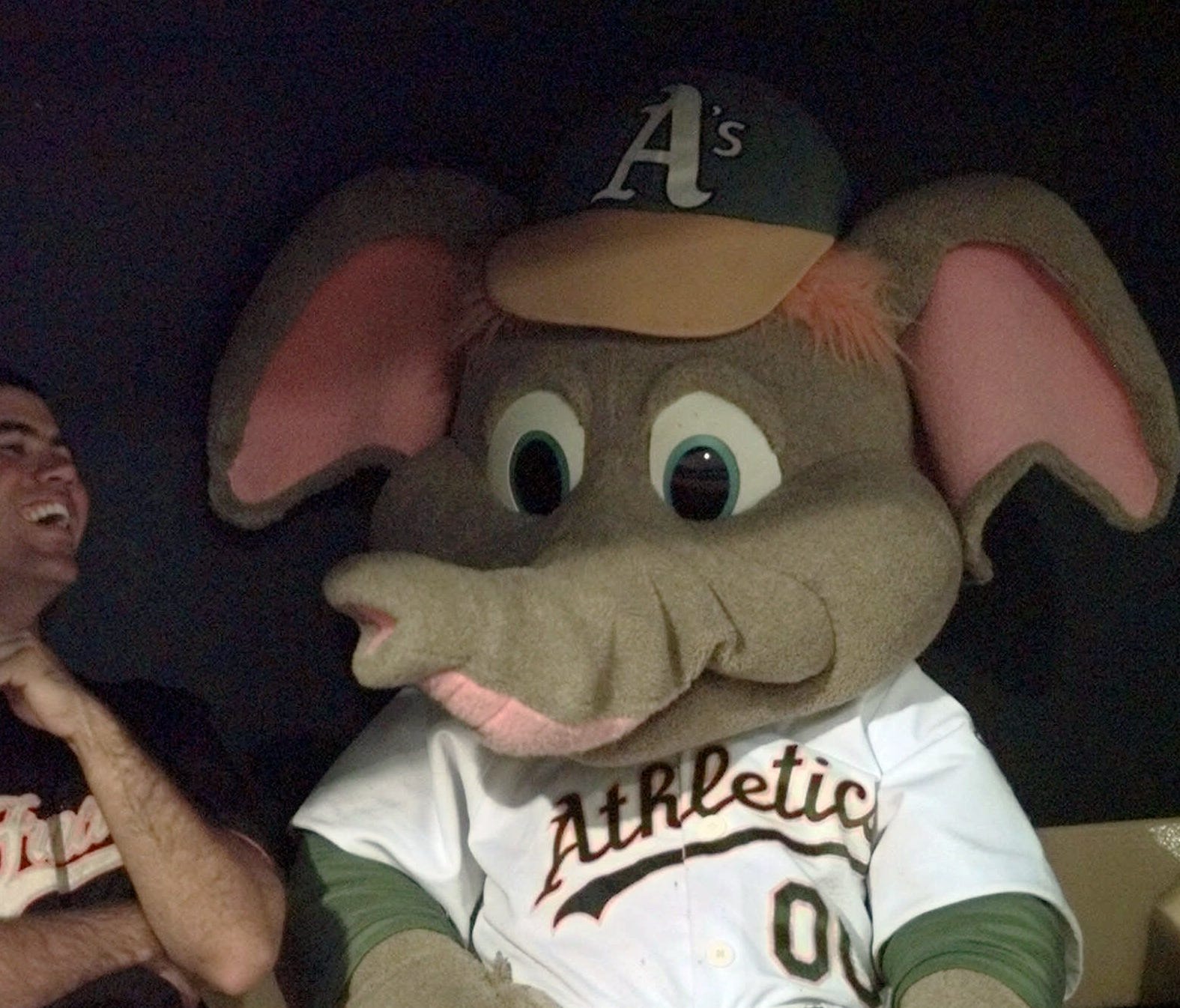 Stomper is the mascot of the Athletics.