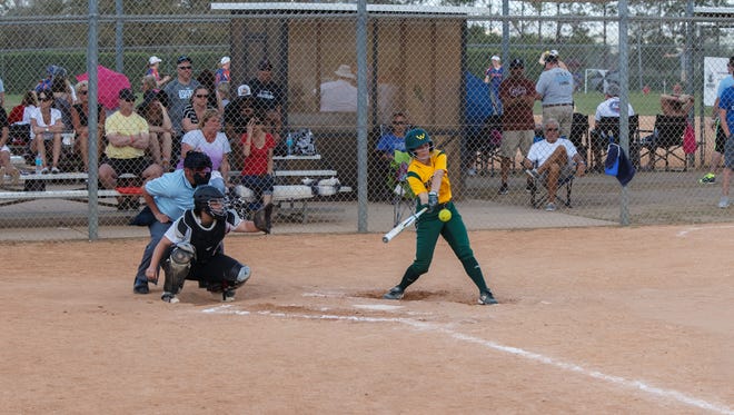 Wayne State sophomore Kylee Barrett takes a swing during the Warriors spring break tournament in Clermont, Fla.