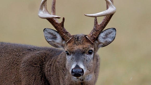 Stowers: Giving back to vets with Delta-style deer, hog hunt