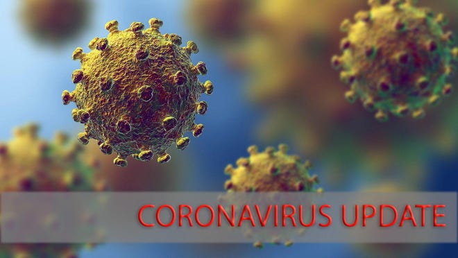 Examples of particles of COVID-19, the new coronavirus, are shown in this artist's rendering.