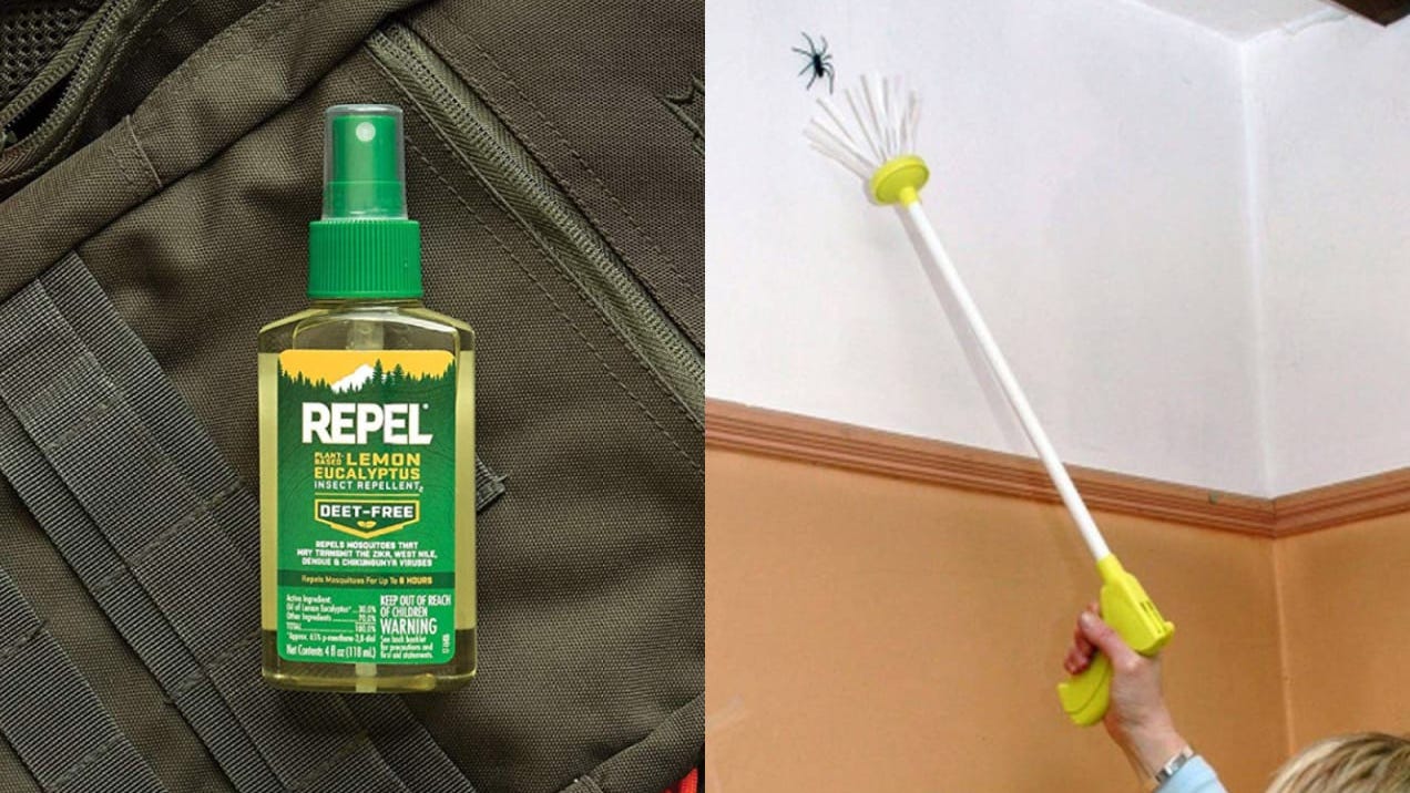 16 ways to kill spiders, flies, and other bugs