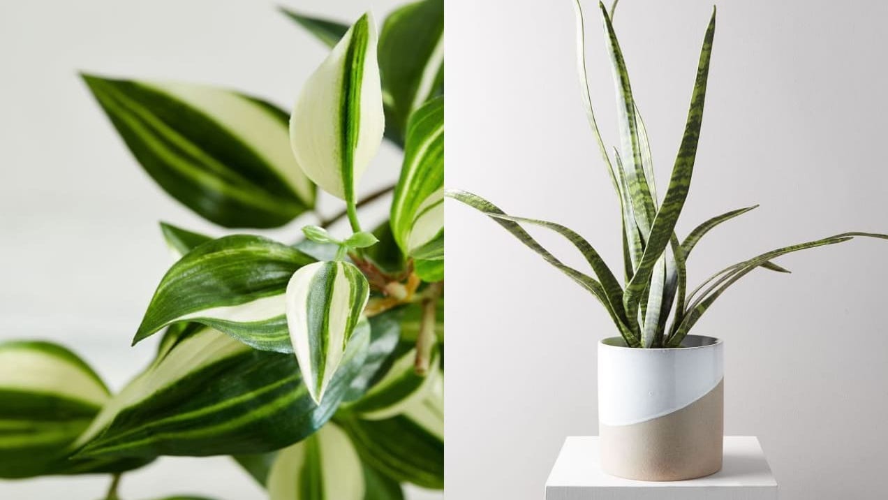 10 Long Stems Grass Artificial Plastic Plants Home Vase Decoration 