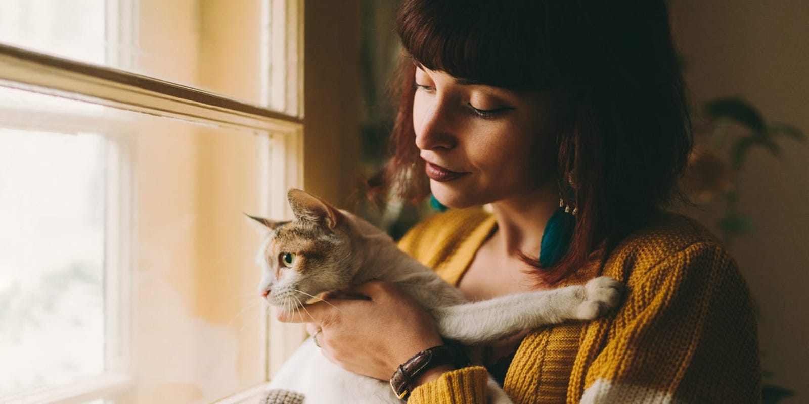 The Best Products From Chewy For Cats And Kittens