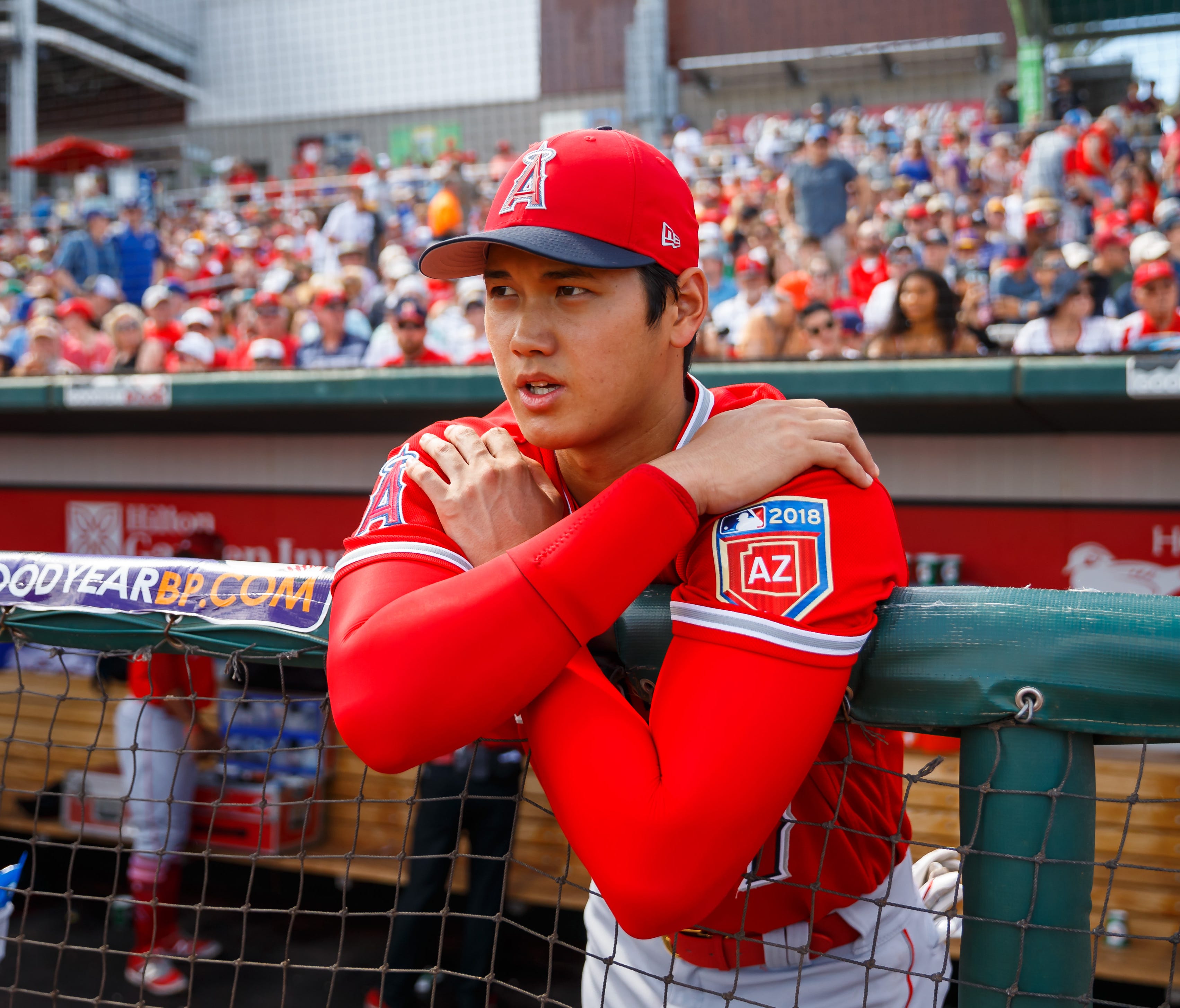 Shohei Ohtani is expected to serve as DH on Opening Day and start the Angels' third game of the season on the mound.