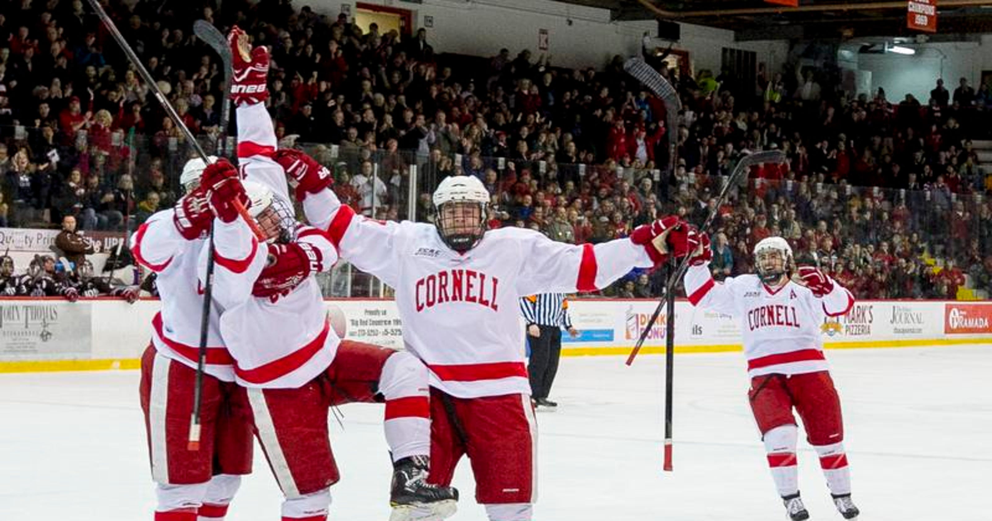 Cornell Hockey Msg 2024 Malva Rozalin