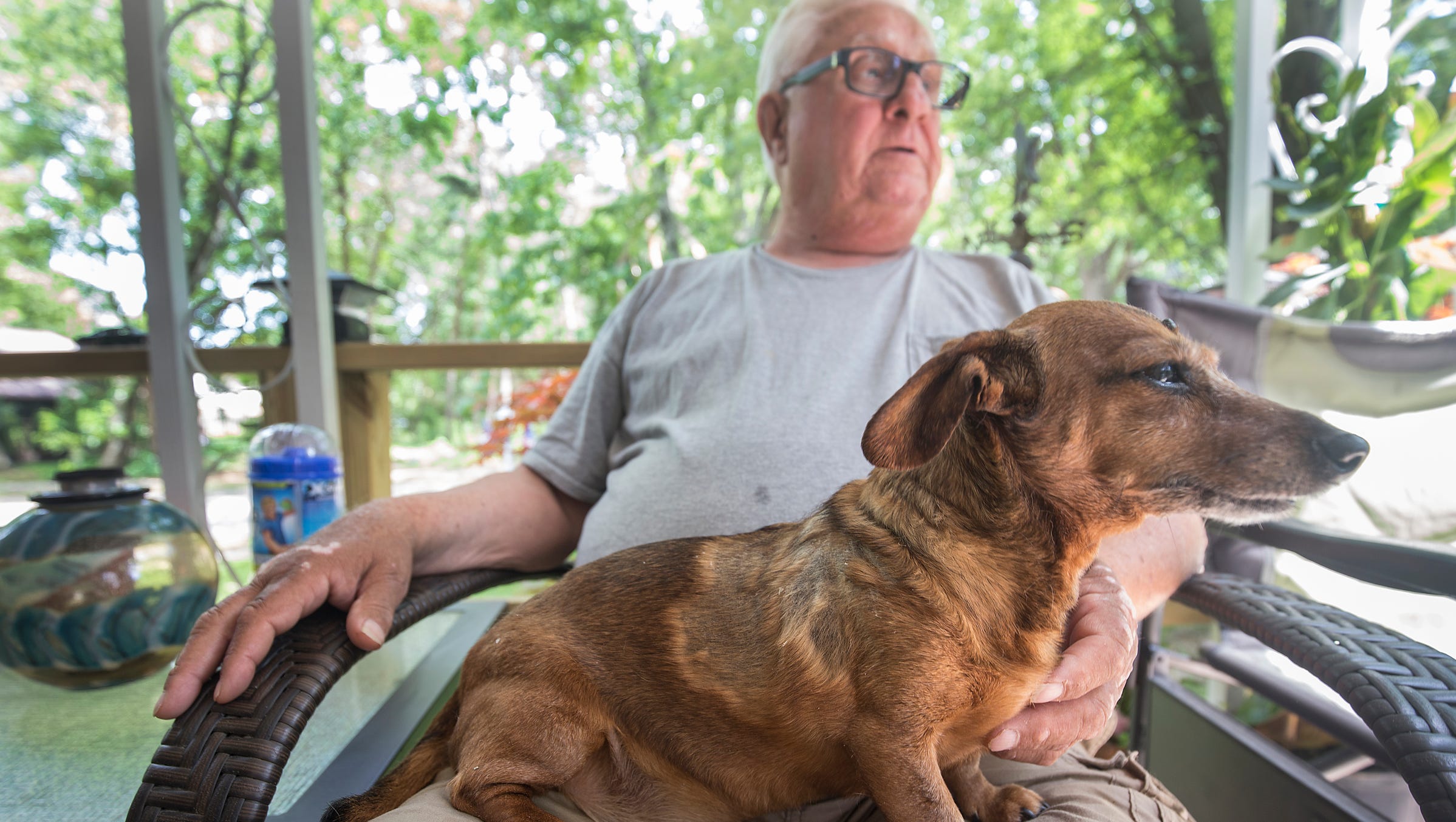Coyote Attacks On Small Dogs On The Rise In Metro Detroit
