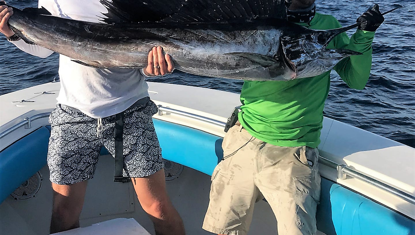 Finding Nimmo Mets Of Catches First Sailfish Finding Nimmo Mets Of Catches First Sailfish