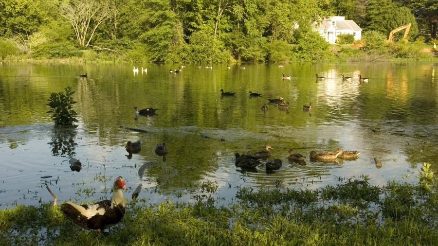 Outdoor Knoxville Event Calendar, Feb. 1726