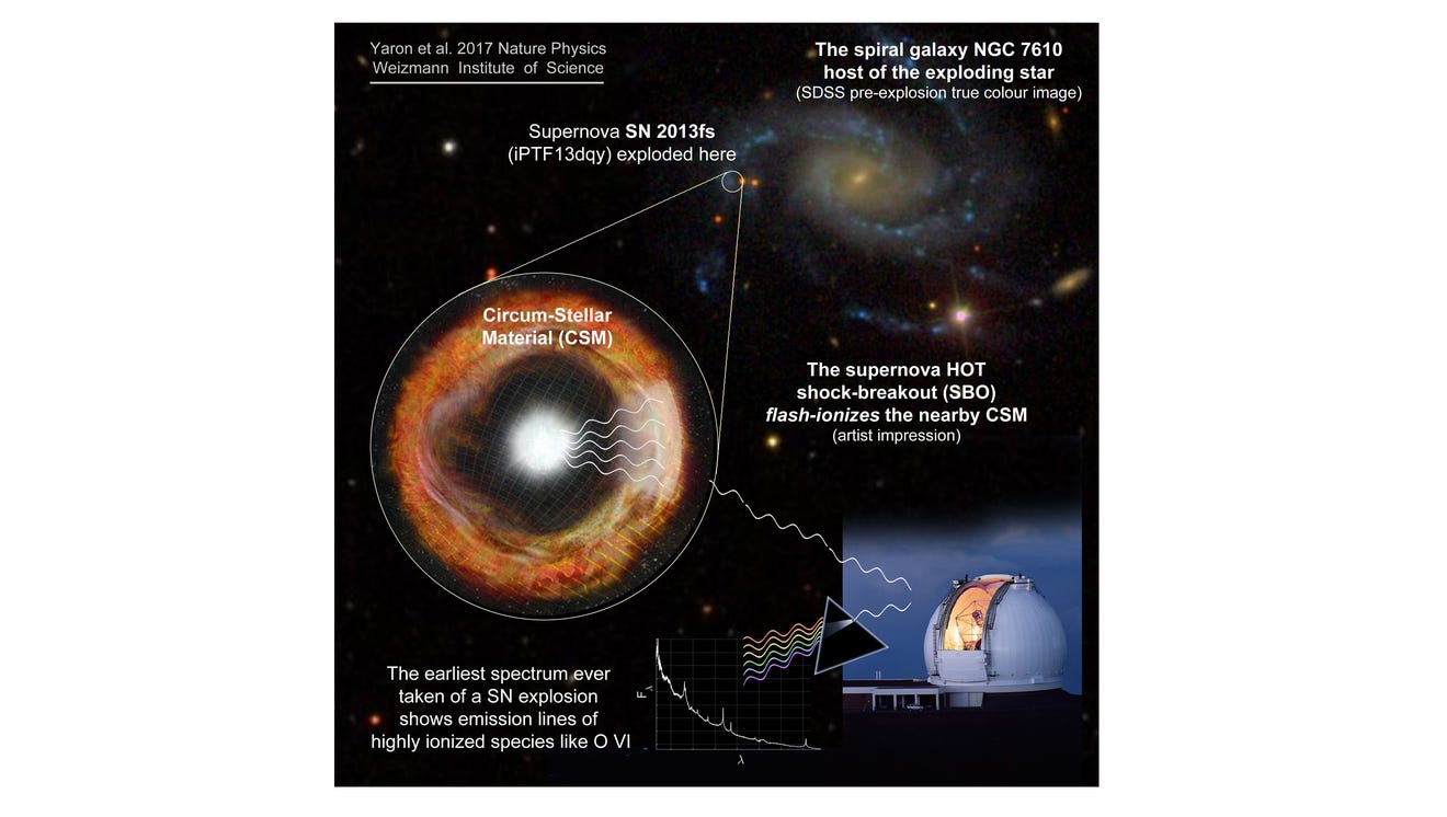 Supernova spotted just hours after explosion
