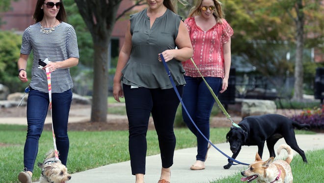 Katie Evans, from left, Breanna Suess and Betsy West take their dogs out for a quick walk while working at Mars Petcare headquarters in Cool Springs on Wednesday, Aug. 30, 2017.