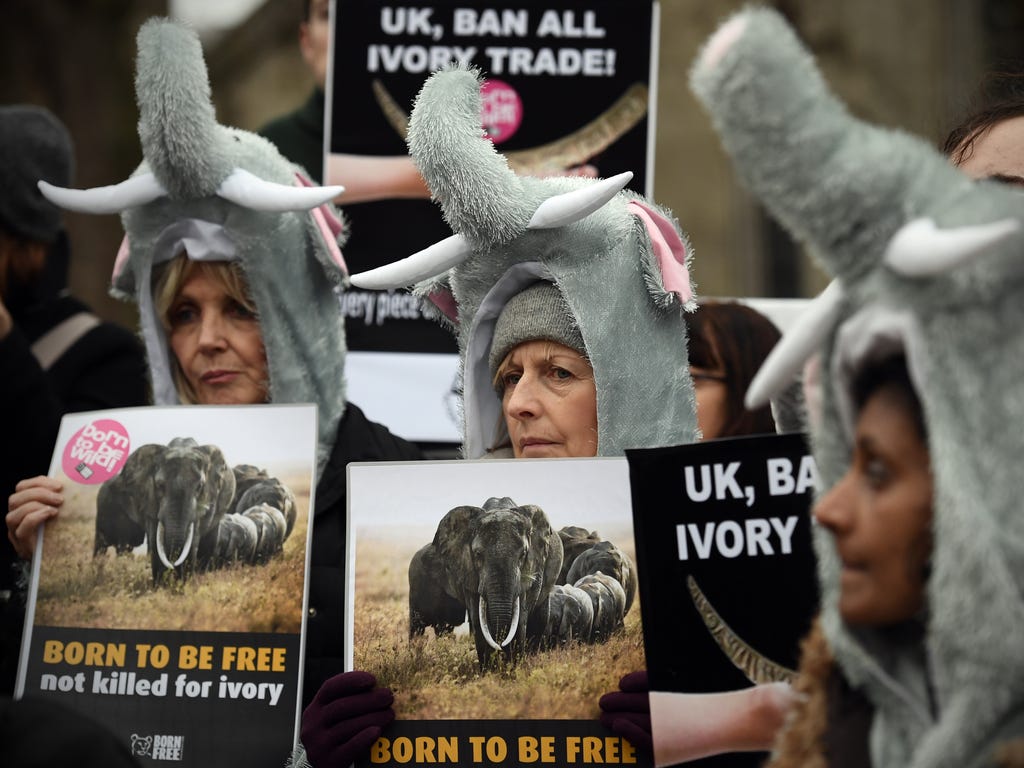 Protesters in elephant outfits take part in a demonstration against the ivory trade in London, England. Members of the Action For Elephants group demonstrated near Parliament as they called for an end to the global trade in ivory.