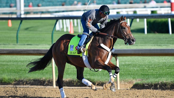 Irap works out at Churchill Downs on May 2. Trained by Doug O'Neill, Irap will start in the Kentucky Derby from the No. 9 spot.
