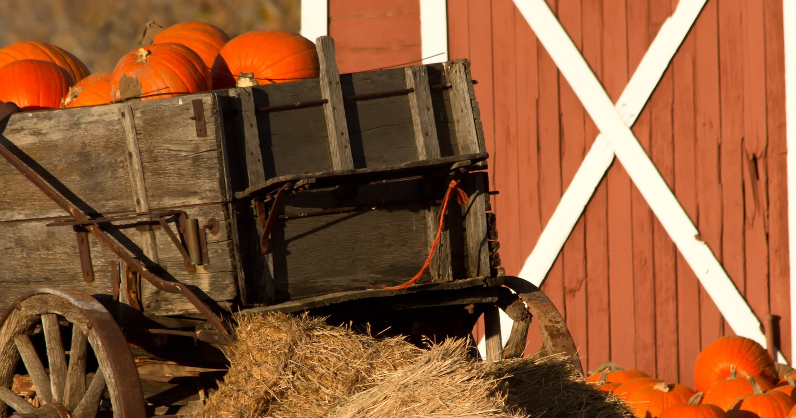 Tollgate Farm celebrates fall