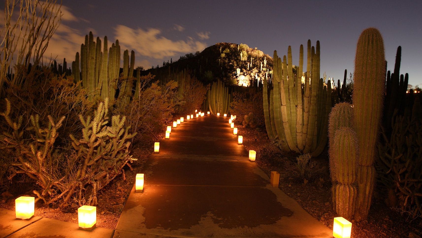 Help Season for Sharing at Desert Botanical Garden's ...