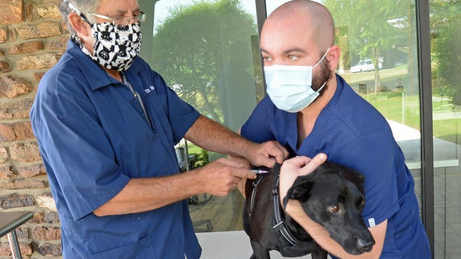 Dr. Randy Hubbs, left, with Kitties & Kanines demonstrates giving a rabies shot as assistant Drake Gilbreth holds Toby on Tuesday, Sept. 8 at the clinic, 4300 Phoenix Ave. The clinic is now offering shots three times a week.