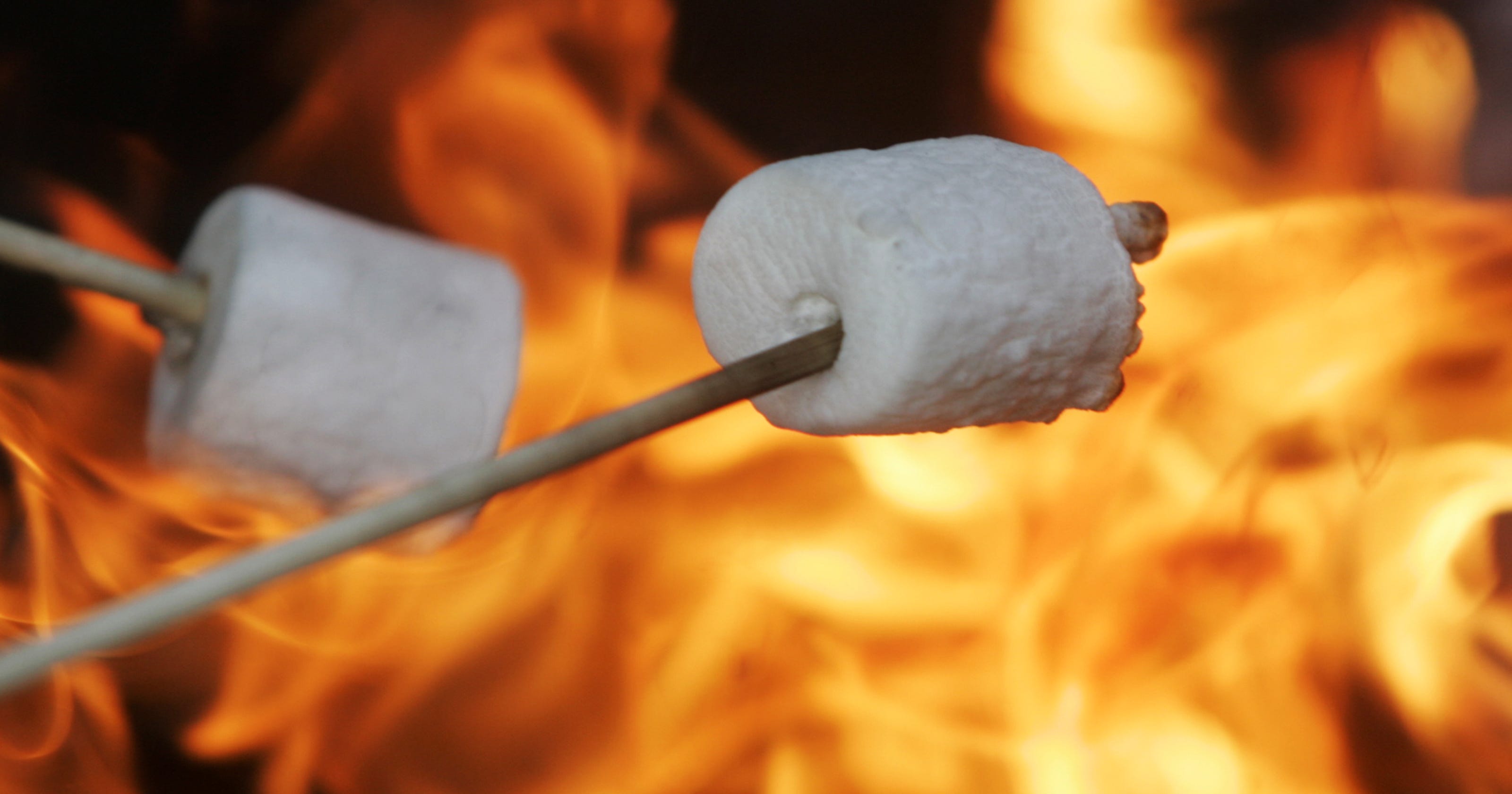 Roast marshmallows around campfire at Barfield Park