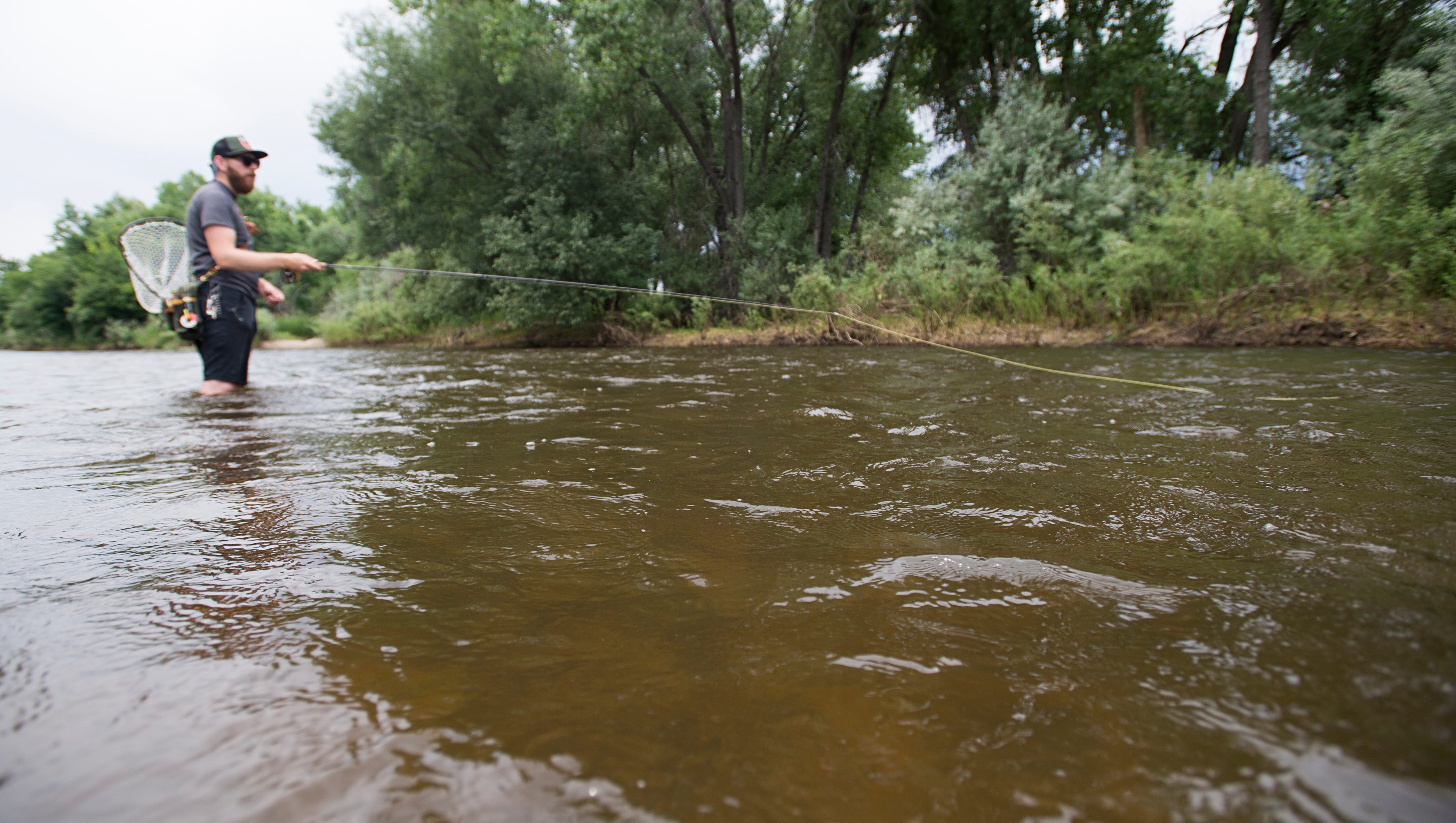 How Healthy Is The Poudre River How Healthy Is The Poudre River