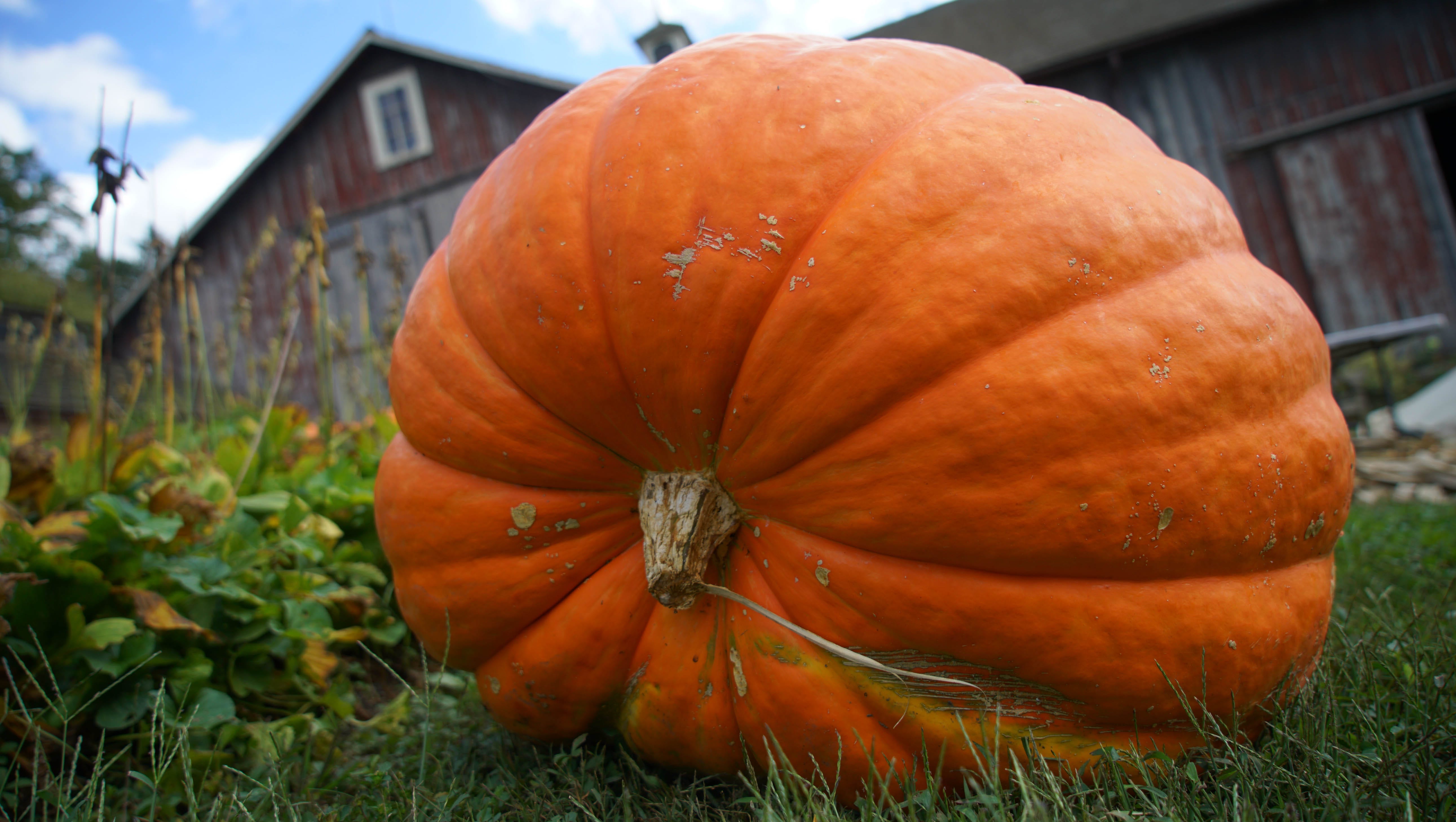 Cincinnati Festivals 2018 Fall Festivals Guide