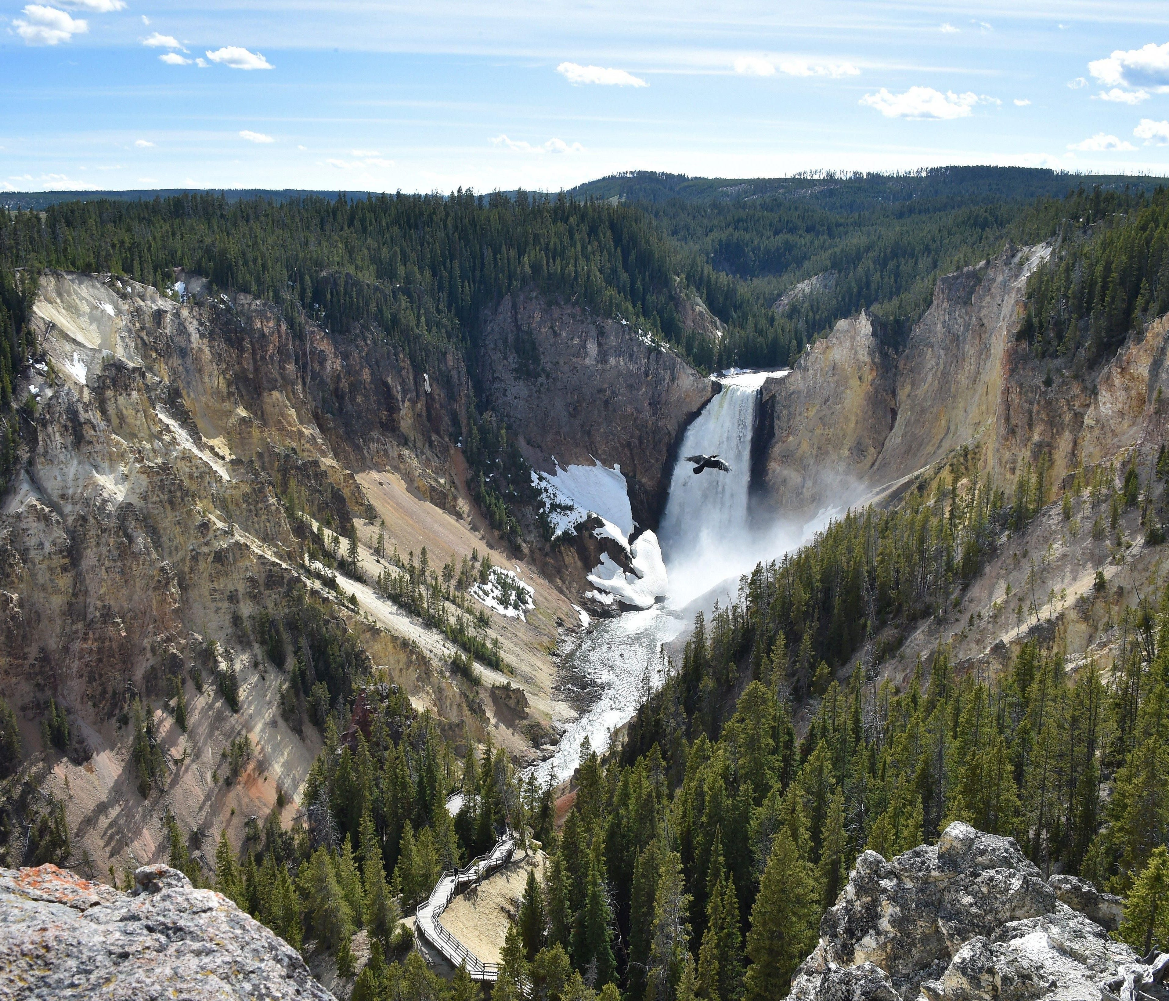 A view of the Lower Falls at the Grand Canyon of the Yellowstone National Park on May 11, 2016. Yellowstone, the first National Park in the US and widely held to be the first national park in the world, is known for its wildlife and its many geotherm