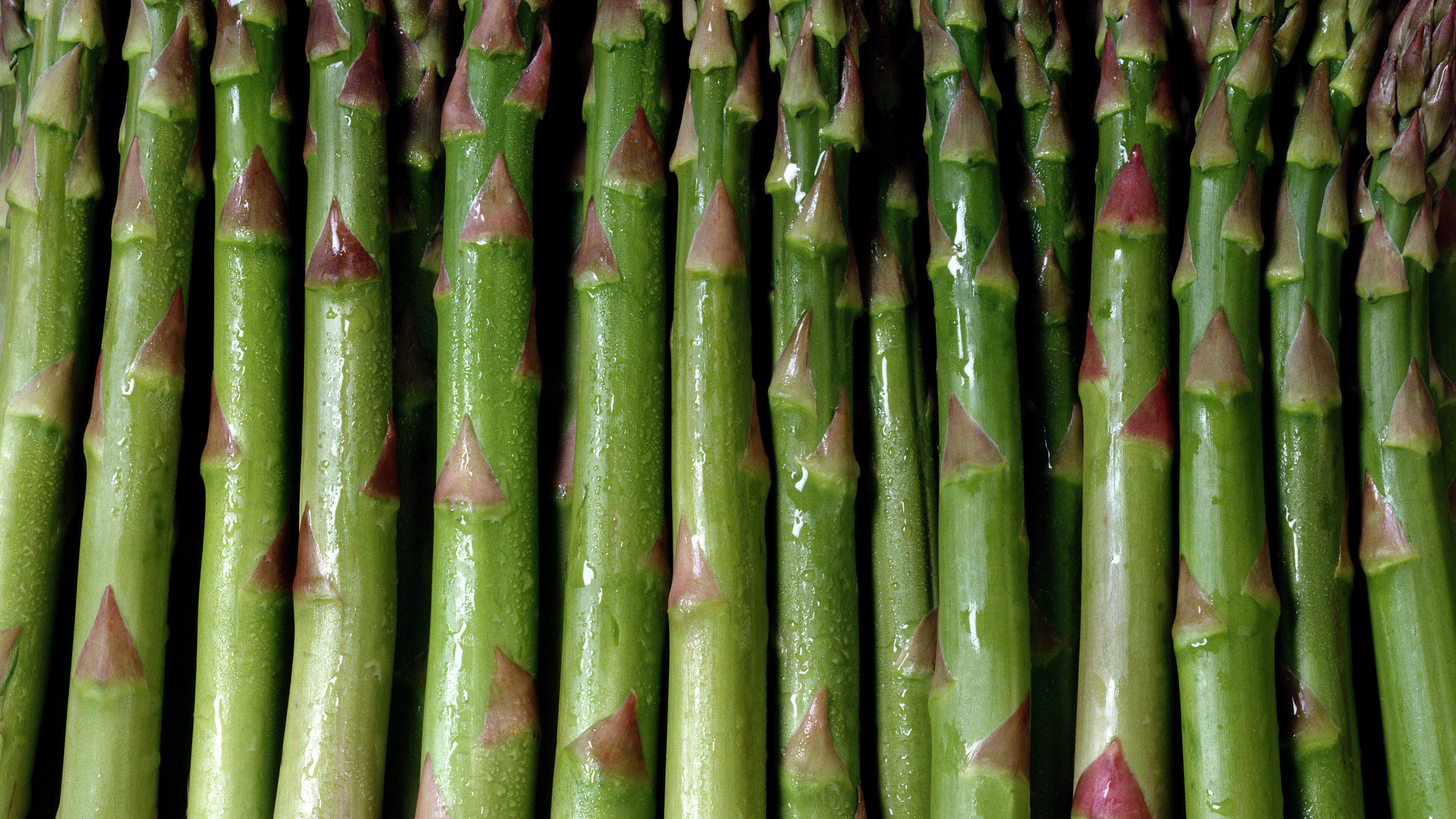 Experts share tips on finding wild asparagus
