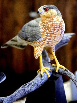 Paul Dohorty of Port St Lucie carved this Cooper's Hawk in 2008. Treasure Coast Woodcarvers meet on Tuesdays.