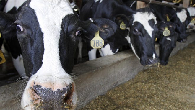 Proposed rules could amount to a $50 million market loss for New York's dairy industry