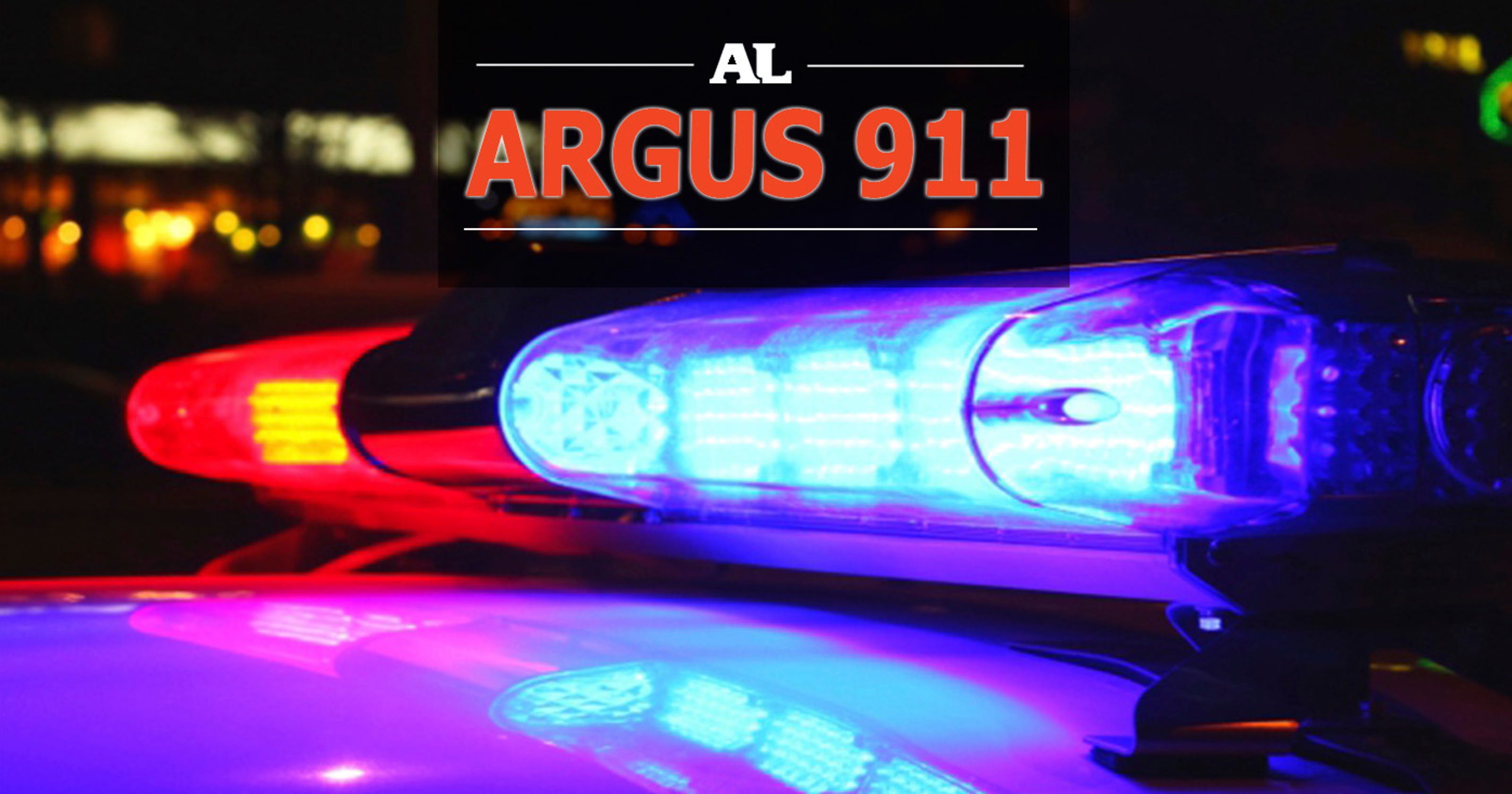 Accidental shot fired prompts police response