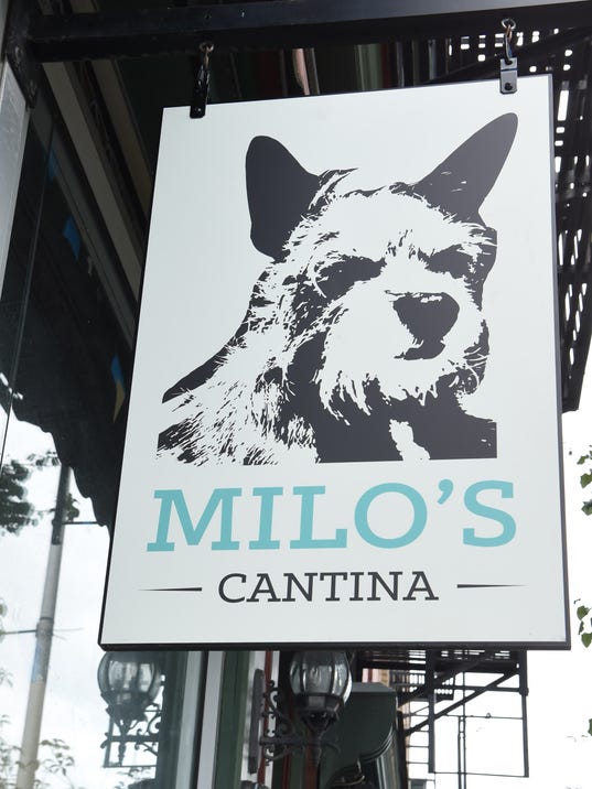 Milo's Cantina preview 