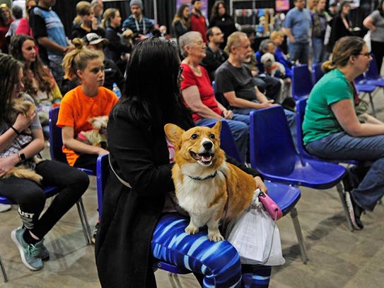 The Phoenix Pet Expo offers opportunities for dogs