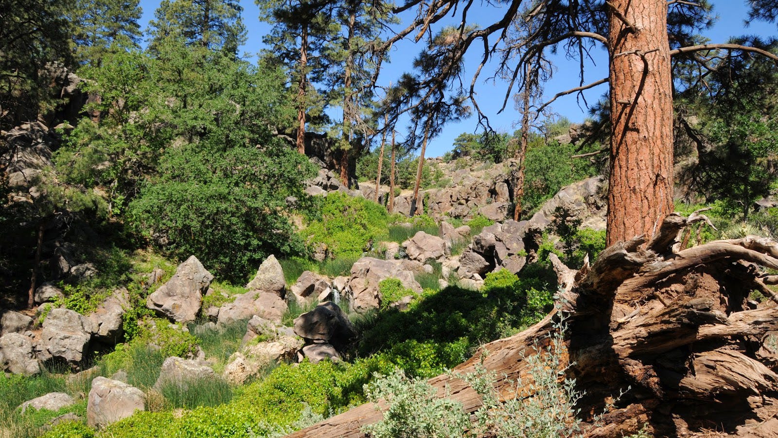 Picture Canyon Flagstaff Map Flagstaff Hike: Picture Canyon