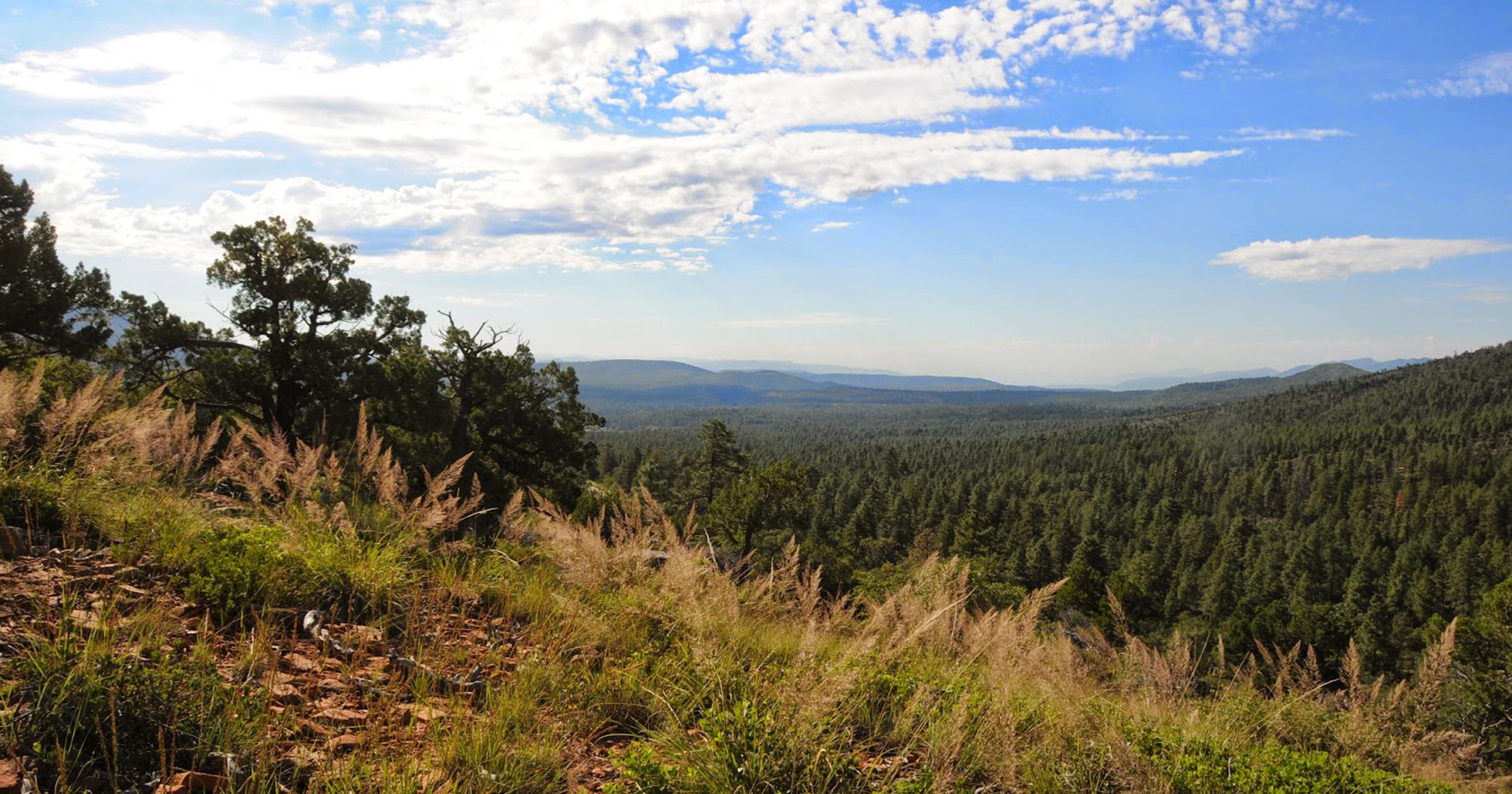 Arizona hike: Bearfoot Trail in Pine